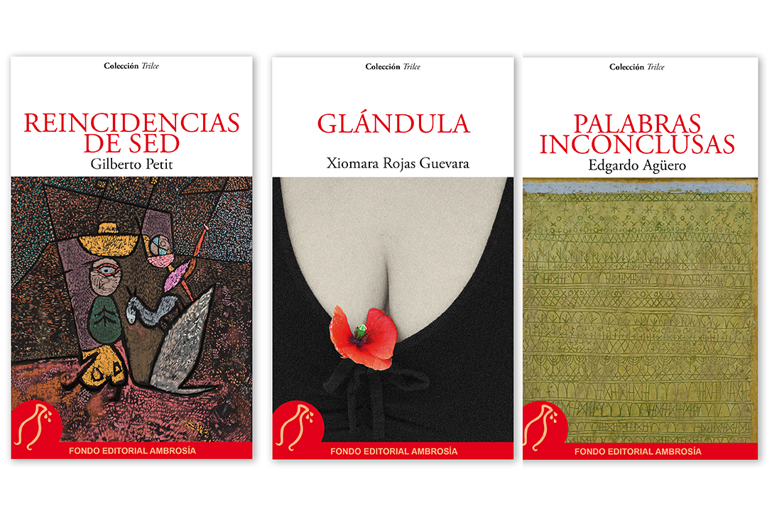 Colección Trilce